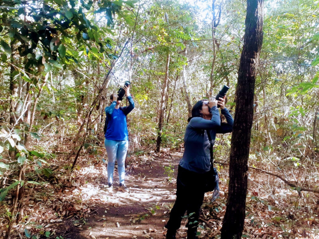 Parque Estadual do Lajeado celebra 23 anos com programação destinada a observação de aves