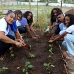 Escola Santa Rita do Rio Palma, de Paranã, recebe prêmio do Governo do Tocantins por projeto que promove a alimentação saudável