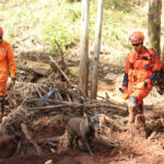 Bombeiros militares tocantinenses completam duas semanas em missão no Rio Grande do Sul