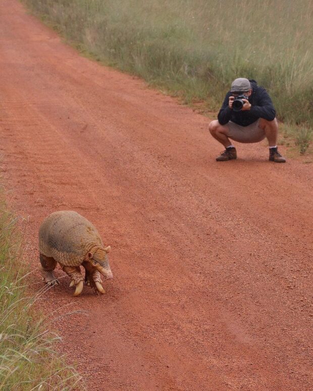 Fotógrafo encontra maior tatu do mundo na Serra da Canastra: “Uma lenda do Cerrado”