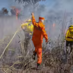 Processo seletivo oferece 80 vagas para brigadistas atuarem em incêndios florestais no Tocantins