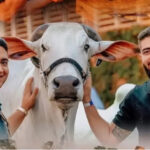 Leilão da fazenda de Henrique & Juliano ofertará animais com genética diferenciada no Tocantins