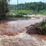 "Tragédia sem precedentes no campo", dizem pequenos agricultores do RS
