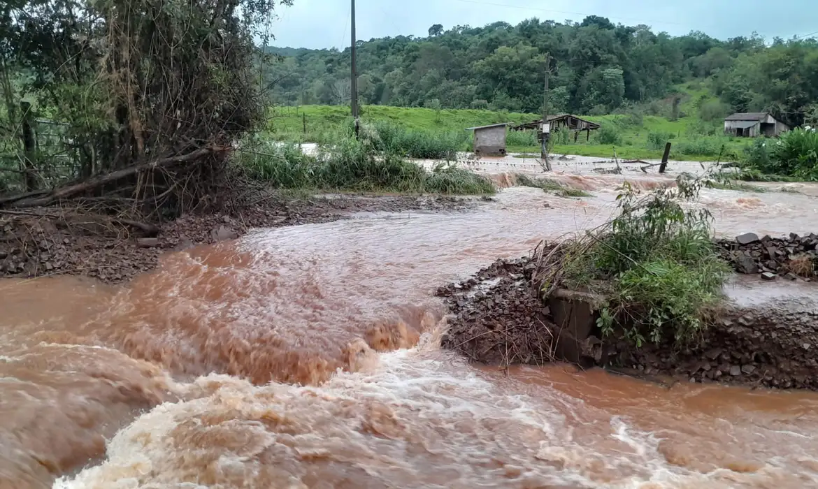 "Tragédia sem precedentes no campo", dizem pequenos agricultores do RS