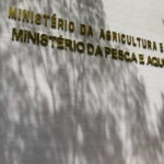 Processo seletivo federal oferta mais de 260 vagas temporárias para o Tocantins e outros estados
