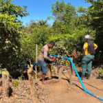 Associação Xerente recupera áreas degradadas do cerrado e produz alimentos