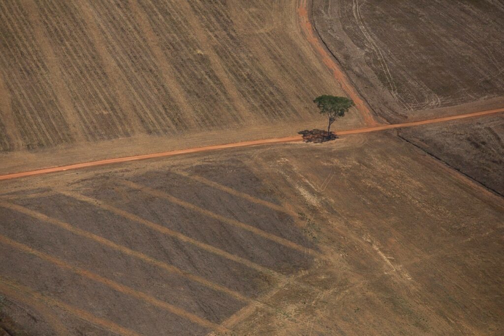 Propriedade rural de Lagoa da Confusão e quatro réus são condenados em ação proposta pelo MPTO a pagar multa de R$ 10 milhões por desmatamento ilegal