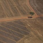 Propriedade rural de Lagoa da Confusão e quatro réus são condenados em ação proposta pelo MPTO a pagar multa de R$ 10 milhões por desmatamento ilegal