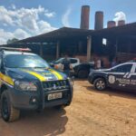 Ação integrada em Guaraí incinera mais de uma tonelada de drogas em maior apreensão de 2024
