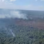 Incêndio na Ilha do Bananal consome mais de 60 km de mata e brigadistas usam internet via satélite para localizar focos