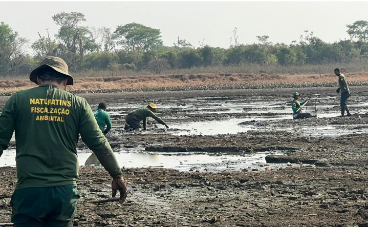 Governo do Tocantins conclui Operação Gigante do Araguaia e resgata mais de 150 peixes na Ilha do Bananal