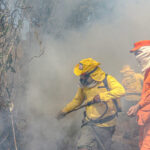 Corpo de Bombeiros do Tocantins já combateu mais de 1.760 incêndios florestais em 2024