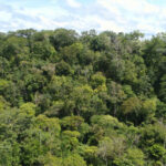 Governo do Tocantins lança Boletim Climático e Risco de Incêndio com alerta de situação crítica
