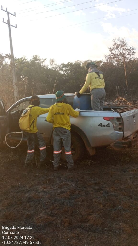 Prefeitura de Lagoa da Confusão decreta situação de emergência devido a incêndios florestais