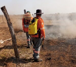 Prefeitura de Lagoa da Confusão decreta situação de emergência devido a incêndios florestais