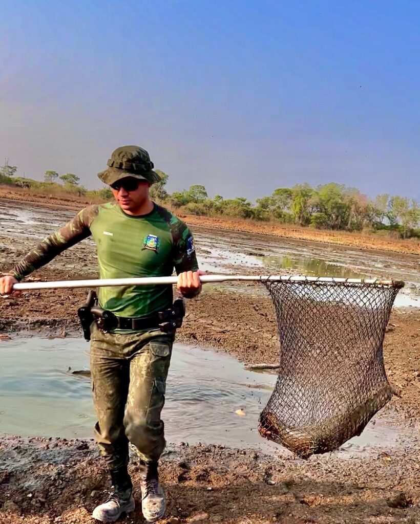 Operação Gigante do Araguaia: Resgate de Peixes na Ilha do Bananal, com foco no Pirarucu