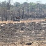 Defensoria Pública presta assistência a famílias atingidas por incêndio em assentamento no sul do Tocantins