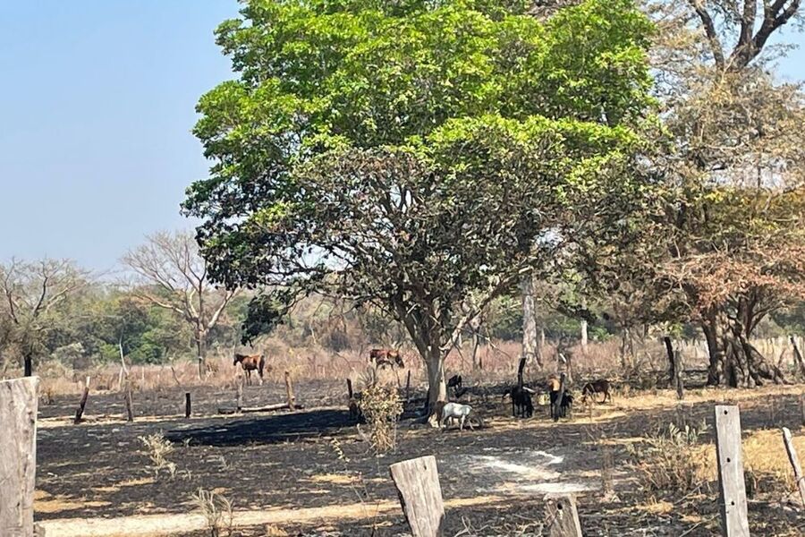 Defensoria Pública presta assistência a famílias atingidas por incêndio em assentamento no sul do Tocantins