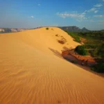 Dunas do Jalapão são fechadas para visitação devido a incêndios florestais