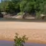 Seca extrema atinge 11 municípios no Tocantins e decreta estado de calamidade em Centenário