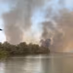 Incêndios devastam Ilha do Bananal e afetam mais de 250 mil hectares no Tocantins
