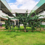 IFTO lança edital do Vestibular 2025/1 com 2.983 vagas em cursos técnicos e superiores
