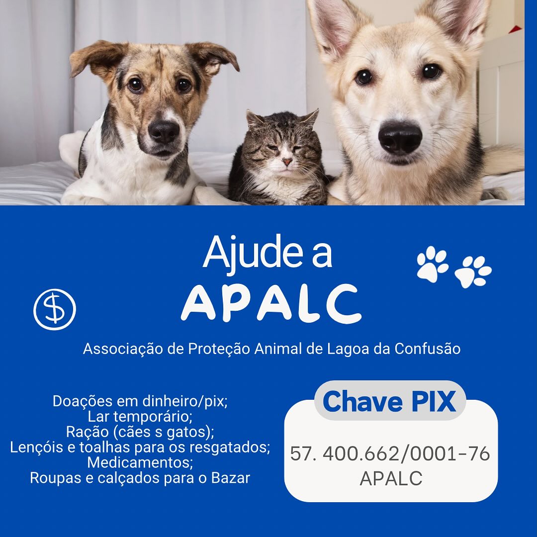 Ajude a Associação de Proteção Animal de Lagoa da Confusão (APALC) a continuar salvando vidas