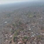 Operação de Combate a Incêndios na Mata do Mamão Chega ao Fim com Apenas 3% da Área Preservada