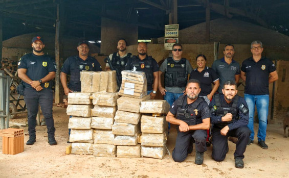 Polícia Civil do Tocantins incinera 400 Kg de maconha apreendidos em Dueré