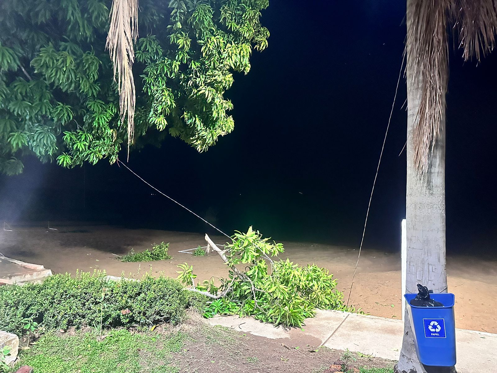 Chuva forte causa estragos em Lagoa da Confusão: Árvores, casas, empresas e veículos danificados