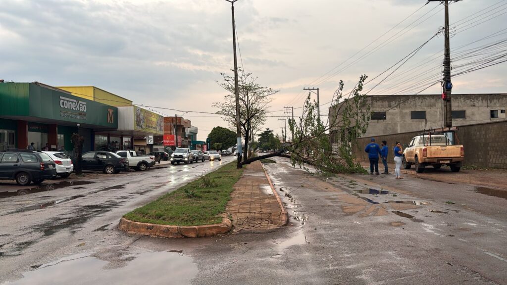 Chuva forte causa estragos em Lagoa da Confusão: Árvores, casas, empresas e veículos danificados