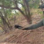 Naturatins intensifica fiscalização para combater pesca e caça predatórias nos rios Tocantins e Araguaia