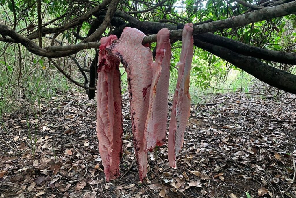 Polícia Militar do Tocantins prende dois homens por pesca predatória em Sandolândia