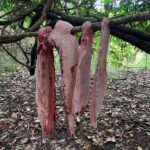 Polícia Militar do Tocantins prende dois homens por pesca predatória em Sandolândia