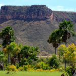 Governo do Tocantins registra redução histórica de 85% nas áreas impactadas por desmatamento em outubro de 2024