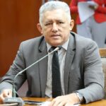 Assembleia Legislativa do Tocantins aprova projetos de incentivo ao setor agropecuário, saúde mental e adoção de animais