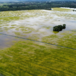 Clima Tempo: Alerta laranja para chuva forte em Lagoa da Confusão neste final de semana