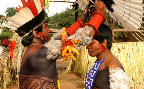 A Ilha do Bananal: Um Tesouro Natural do Tocantins e o Legado do ...