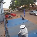 Secretaria de Meio Ambiente realiza resgate de enxame de abelhas em Lagoa da Confusão; veja o vídeo