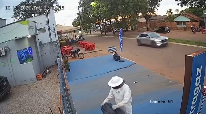 Secretaria de Meio Ambiente realiza resgate de enxame de abelhas em Lagoa da Confusão; veja o vídeo