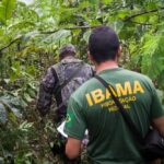 Ibama publica edital de concurso com 460 vagas e salário de até R$ 9,9 mil; veja como participar