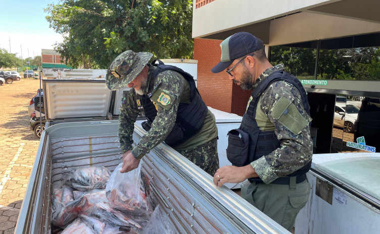 Naturatins apreende toneladas de pescado ilegal em operação no Lago Lajeado e Rio Tocantins