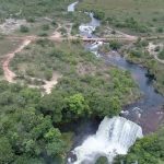 Tocantins reforça compromisso com a conservação da biodiversidade
