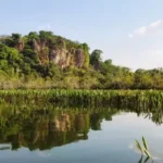 Retrospectiva: Eleições 2022 em Lagoa da Confusão teve Lula vencendo para presidente e Wanderlei Barbosa vencendo com folga para governador