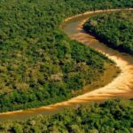 Justiça Federal mantém ordem de retirada de gado e demolição de construções em parque na Ilha do Bananal