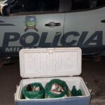 Homem é preso por transporte ilegal de pescado durante patrulhamento ambiental em Dueré