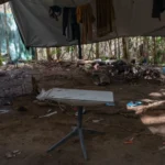 MPF e Starlink firmam acordo para controlar uso da internet via satélite na Amazônia Legal a partir de 2026