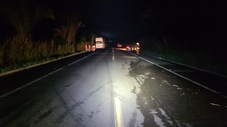 Motorista morre carbonizado após caminhão pegar fogo em acidente na BR-230, no Bico do Papagaio