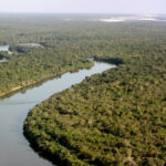 Parque Estadual do Cantão celebra 27 anos como símbolo da conservação ambiental no Tocantins