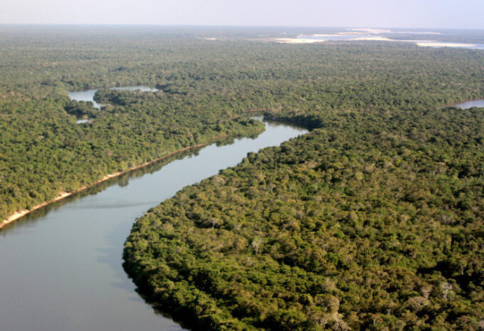 Parque Estadual do Cantão celebra 27 anos como símbolo da conservação ambiental no Tocantins
